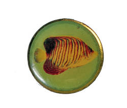 vintagetrafficusa:TROPICAL FISH vintage pin pinback lapel badge by VintageTrafficUSA http://ift.tt/2up42Wn