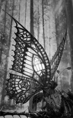 slobbering:  The Gothic Butterfly by David Aguirre Hoffmann 