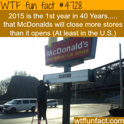 wtf-fun-factss:  McDonalds to close more stores than it will open this year - WTF fun facts 