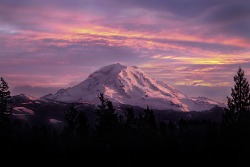deletingmyself:  Real Mountains Wear Pink (by Andy Orozco)| Washington, US Website | Flickr | Twitter | Vimeo | Facebook | YouTube 