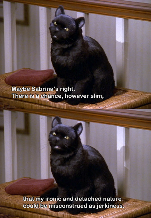 Salem The Cat Quotes. QuotesGram