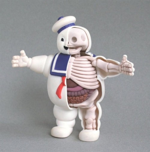 Anatomical Toys 64