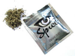 vicemag:  Floridians Are Losing Their Minds on Synthetic Cannabis The rumors are floating among bystanders in downtown St. Petersburg, where a body lies motionless on the sidewalk, covered by a plastic sheet. Was it over a stolen lighter? Or was it a