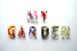 kjevangelista:  Botanical Typography Made with Frozen Flowers in Ice by Petra Blahova What a beaut. 