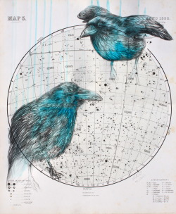 louisemcnaught:  ‘Heavenly Bodies - The Starless’, ink and pencil on Antique Celestial Maps from 1880, 35x42cm (diptych) (2013) by Louise McNaught