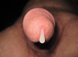 chinarob40:  edgrant0561:  enjoyzboth: Just waiting for me to lick the tip. Amazing POV.  I’d lick the tip too.   Yum