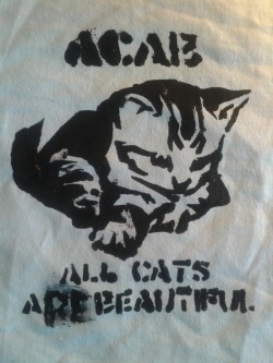 All Cats are Beautiful :) ich kann es einfach nicht :(