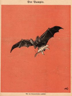 thefugitivesaint: Arthur Krüger (1866-1926), ‘Der Vampir’, “Der Wahre Jacob”, #858, 1919Source
