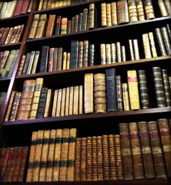 michaelmoonsbookshop:  michaelmoonsbookshop: old books.  shelves in our Whitehaven book shop.. 