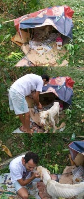thatgirlcanlift:  wreckedxteen:  canna-bish:  Thank you so fucking much.  im in teaaars  I will never not reblog this because this guy right here is the best example you could ever have for how to care for an animal in need.   Re-Blog time: this man is
