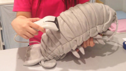 sagansense:   Here, have a cuddly giant isopod plushie.  via kotaku 