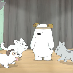 Would you adopt baby Ice Bear? Happy National Puppy Day! 