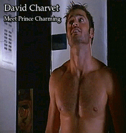 el-mago-de-guapos: David Charvet Meet Prince Charming  2002