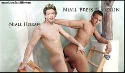 meooowz:  Niall Horan and Niall Breslin in this fake. The image has been scaled down - click the image or the external link to see it full size.