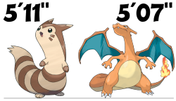 deadliest-snatch:  retrogamingblog:  According to the Pokedex, Furret is taller than Charizard  look im sorry but furret is taller than ME and im fucking pissed about that 