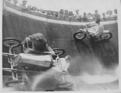 freespiritfieldsforever:  Lion in a sidecar on The Wall of Death. Mind blowing. 