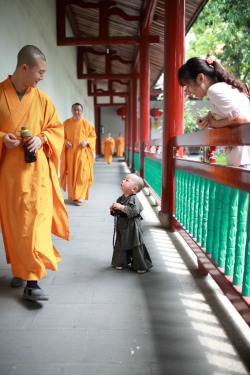 stunningpicture:  Excuse me, sir, do you know where I could find some enlightenment? 