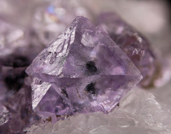 underthescopemineral:  Fluorite, Calcite, Quartz CaF2, CaCO3, SiO2Locality:Reed’s Gap Quarry (New Haven Trap Rock Quarry; Tilcon Durham quarry), Durham, Middlesex Co., Connecticut, USA Field of View: 10 mm Excellent fluorite octahedral crystal with