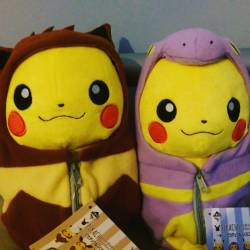 Sleeping bag buddies! #pokemon #pikachu #nebukurocollection #nebukuropikachu #eevee #ekans
