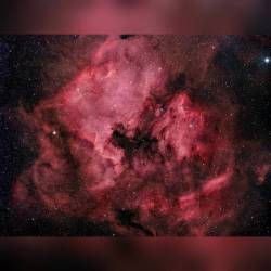North America and the Pelican #nasa #apod #cosmicclouds #northamericanebula #ngc7000 #pelicannebula #ic5070 #nebulae #nebula #dust #gas #clouds #stars #interstellar #milkyway #galaxy #space #science #astronomy