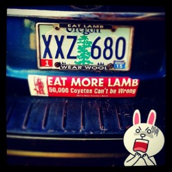 Eat more lamb #lamb #coyote #WallaWalla #downtown #bumper sticker