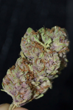 instabaked:  Mother of all Berry 90% Indica / 10% Sativa Helps with anxiety, Stress and Insomnia 
