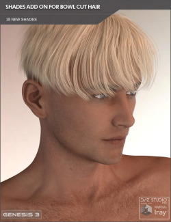 Add some stylish and trendy new hair colors to your Bowl Cut Hair for Genesis 3 Male(s). Created by SF-Design and is compatible with Daz Studio 4.8 and up! Also, this is 25% off until 3/31/2017! Check the link for all the extras.    Shades Add On For