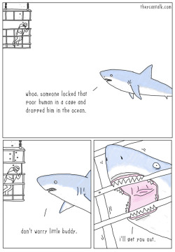 theycantalk:  Shark Rescue  