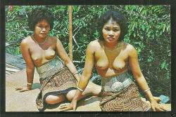 Malaysian Dayak women from Borneo, via Lim Yap.
