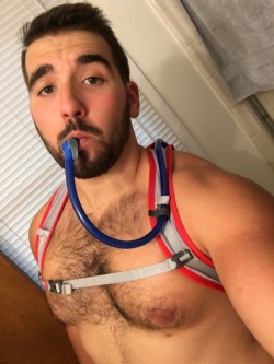 phallical: thecaptainstevexxx:   verdeinvolumes:  phallical: Bought a Camelbak that will basically double as my “harness” for Pride 💪🏼 This will most likely be full of vodka this weekend… Bravo on the aesthetic. Now if we can make a leather