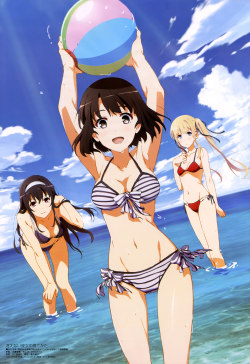 peterpayne:Today I wrote about the new SaeKano anime, are you enjoying it? I am loving all the girls, and the high production values.  Here’s a Megami poster of the show, which you can get this link: http://jli.st/1gWRjlD