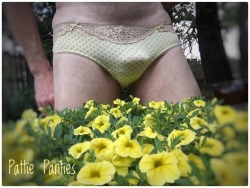 pattiespics:  It’s Spring!  Time to go outside in your panties and play!You can peek at more of Pattie’s Panties, Bras  and Sissy Dick  here   ~~  http://pattiespics.tumblr.com/