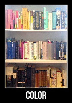 unboundbooks:  books-cupcakes:  feministfangirl:  rhibot:  vampyyra:  vegantine:  sykobabbul:  huffpostbooks:  What’s Your Book Shelfie Style?  This post turns me on.  Topic  Topic and size.  Colour pleased me but it’s usually topic and then within