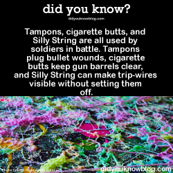 did-you-kno:  Tampons, cigarette butts, and Silly String are all used by soldiers in battle. Tampons plug bullet wounds, cigarette butts keep gun barrels clear, and Silly String can make trip-wires visible without setting them off.  Source
