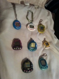Alright guys, here&rsquo;s the ones I&rsquo;d like to play and that I have batteries for: Original &lsquo;97 Tama Dinky Dino (It a little fussy but I&rsquo;ll try if you guys want) Giga Pet The Little Mermaid Giga Pet Digital Doggie Giga Pet Micro Pup