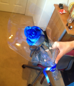 BOYFRIEND GOT ME A BLUE ROSE WHEN HE CAME TO SEE ME~~