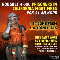 aber-flyingtiger:  reasonandempathy:  Never forget that our prisoners are still the only legal slavery in the U.S., and that they’re forced to do necessary work, including fighting forest fires, for nothing.There is honestly so much wrong with our prison