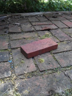 blogust: grass10:  nietzscheisdead:  lambhoof:  lambhoof:  luv the dimensions of this brick I found in the woods. I’m going to keep it on my back porch forever. Luv it  Luv it  i love this brick!  i love this brick!  LOVE this brick 