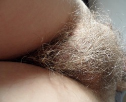 greyhairedgranniesuniverse:  Awesome grey haired pussy 
