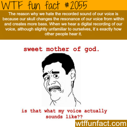 wtf-fun-factss:  Why do we hate our own voice? - WTF fun facts