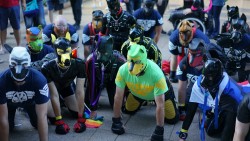 gayboykink:  noodlesandbeef:  Getting ready for the parade. I’m a guest handler for the famous Sirius Pup Pack. Surreal ordering twenty pups to kneel for me.  Australian pups are very good.  That’s amazing, they’re all so obedient! ^_^ 
