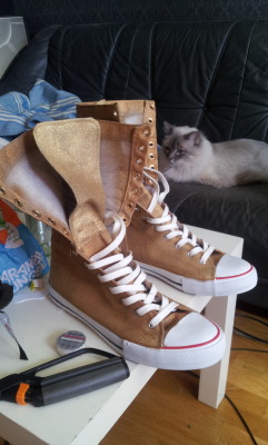 Hey, look. My new shoes are finally painted and done. Next up: Rocky Horror Picture Show Party! Oh, and I know Rocky doesn&rsquo;t actually wear golden converse shoes. Converse shoes was all I could find, and low ones at that, so I decided to keep the
