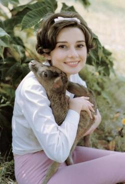 artyangel: Audrey Hepburn with her deer