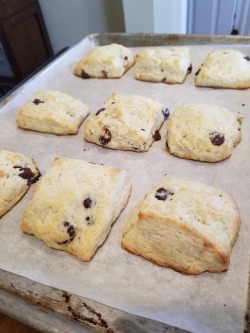 Today I made…Almond Scones with dark chocolate chips and mock Devonshire Cream…possibly the best scones I’ve made to date. Lightly crisp on the exterior, tender and flaky on the interior. I’d pat myself on the back, but my hands are too busy stuffing