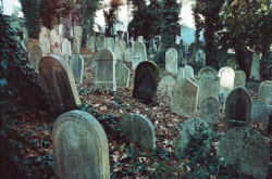 clavicle-moundshroud: Old Jewish Cemetery ☾
