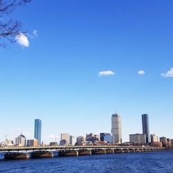 Boston skyline from Cambridge.   #skyline #boston #bostonskyline (at Boston, Massachusetts) https://www.instagram.com/p/Bvzvn7aFYGx/?utm_source=ig_tumblr_share&amp;igshid=mc8wsyu93f75