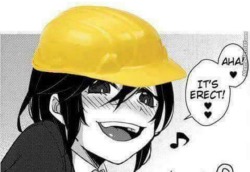 pinkthesuccubus:  judeo-christian-values:  dio-brando-did-nothing-wrong:  this-is-cthulhu-privilege:  tfw when you’re an engineer and you just finished a building.  isnt this hentai?  No, its tfw when you’re an engineer and you just finished a building.