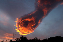 absolutefandomtrash:  salahmah:  On Monday, the Portuguese were stunned by a terrifying cloud over the island of Madeira. The bright orange formation looked as if it was a burning clenched fist   