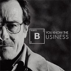 awakingdreaming:  From the Beginning. To the End. Walter and Jesse. You will be missed. 
