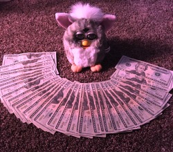 furbykisses: This is the money furby, reblog for good luck in wealth and in health